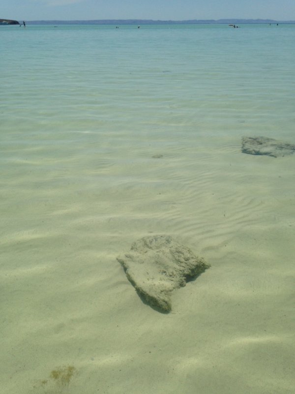 Balandra Bay, La Paz