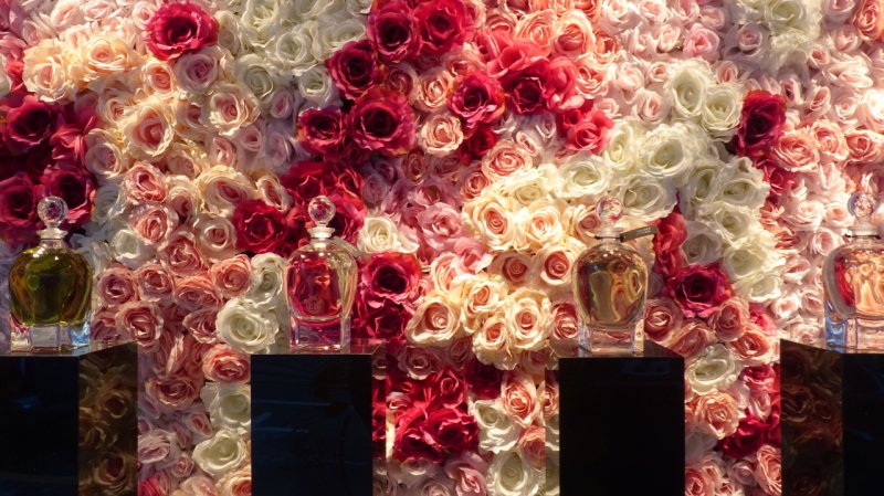 Ebflorals Saks Fifth Avenue Window Display