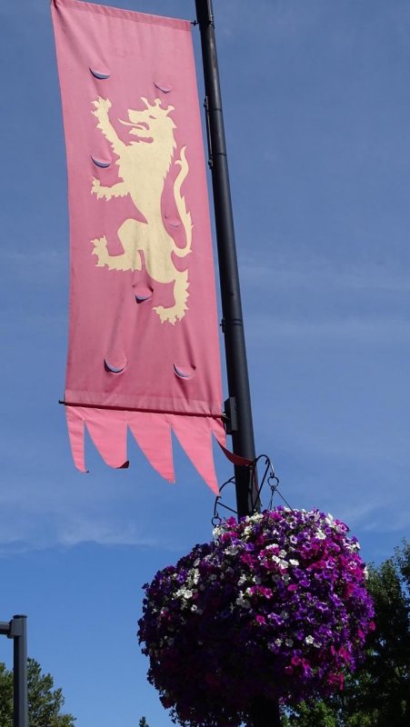 Ashland Shakespeare Griffin Flag