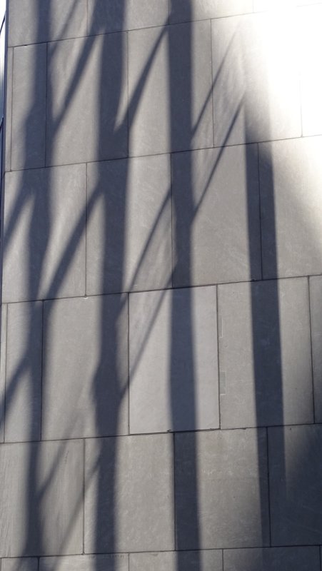 NYC Shadows