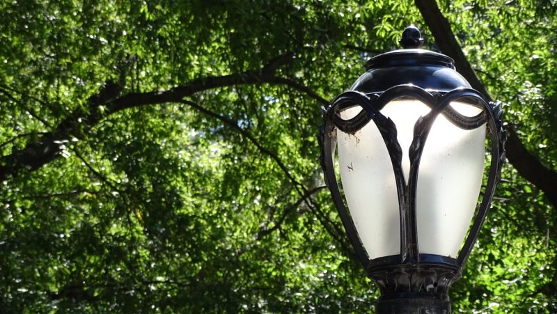 Central Park Lamp Post