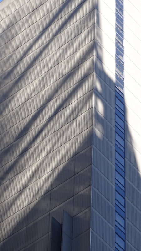 Midtown Manhattan Shadows