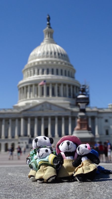 The Pandafords visit the U.S. Capitol