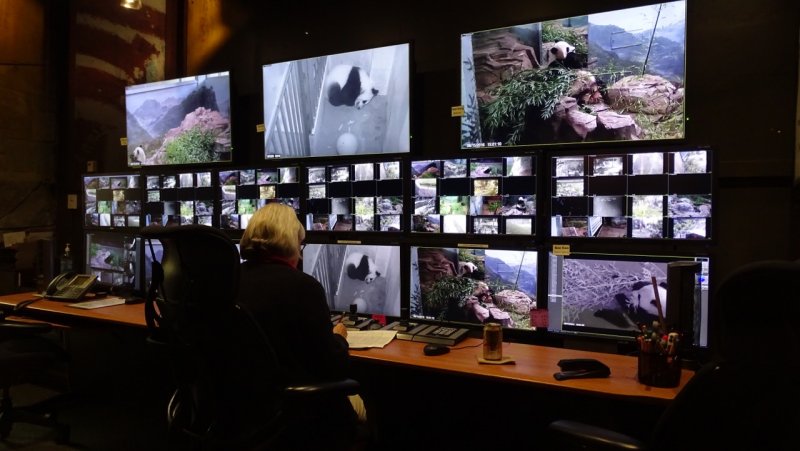 National Zoo pandas monitoring station