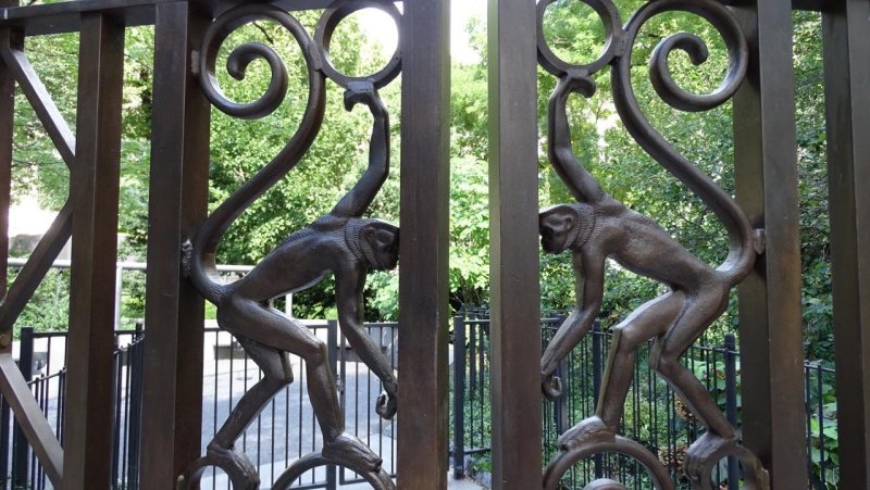 Central Park Monkey Gate