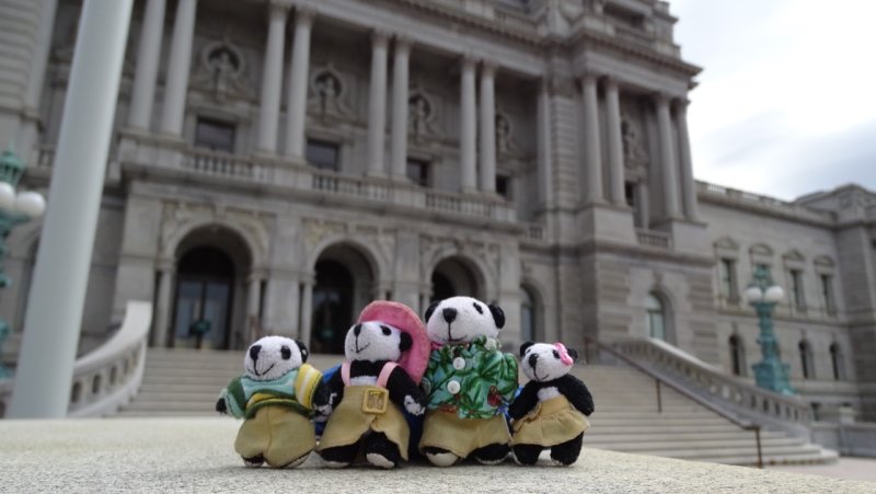 The Pandafords visit The Library of Congress