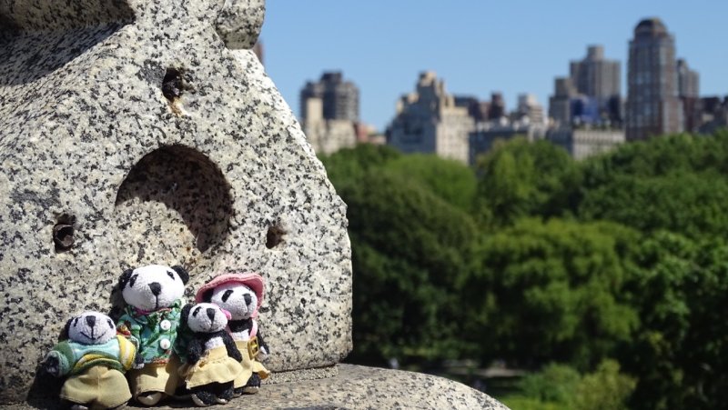 The Pandafords in Central Park