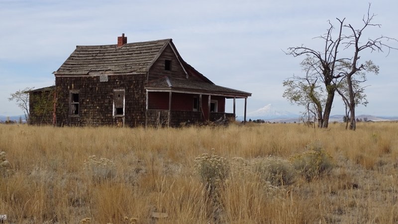 Abandoned House