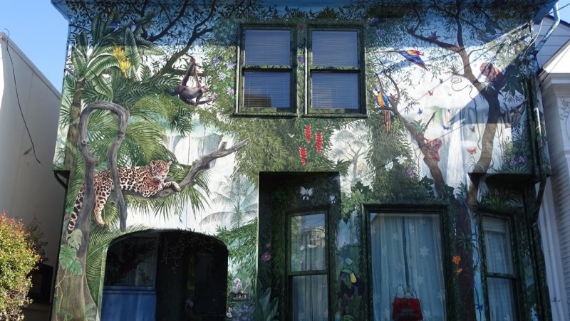 Jungle House