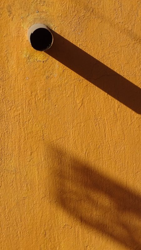 Sayulita Shadows