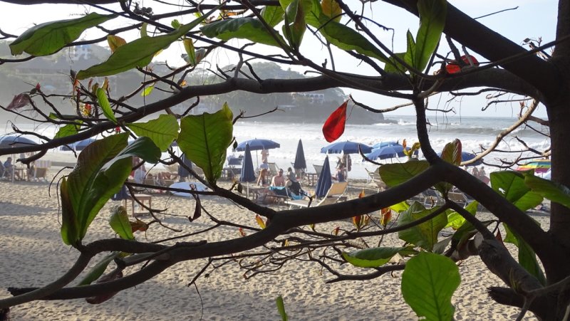 Sayulita Beach Scene with leaf