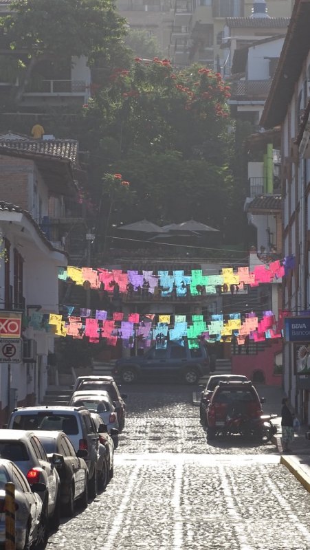 Puerto Vallarta Festival Flags