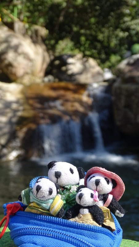 The Pandafords Visit El Edn Waterfall