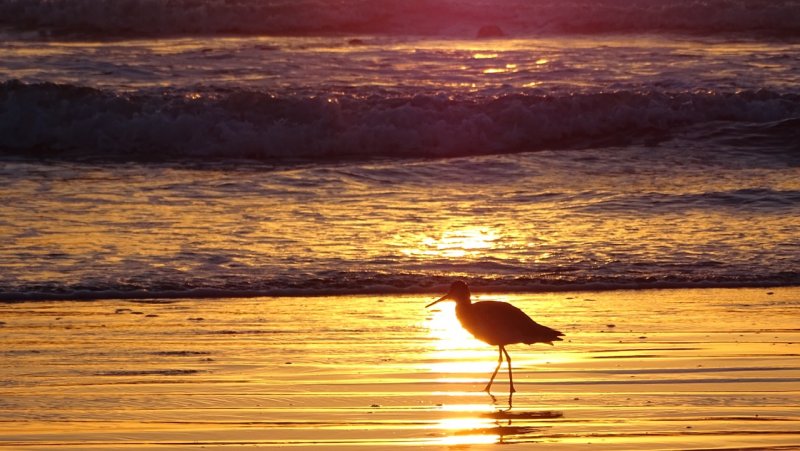 Nuevo Vallarta Sunset