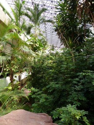 El Cid Moro Beach Atrium