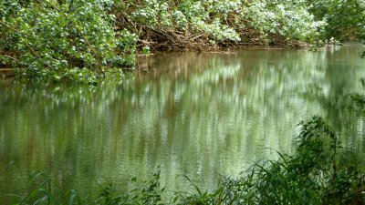 Wailua River