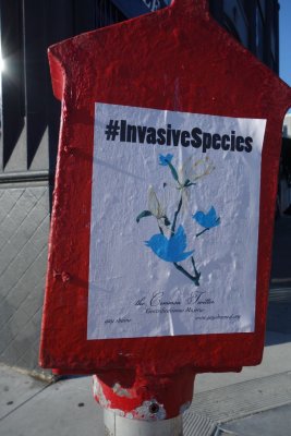 #InvasiveSpecies
