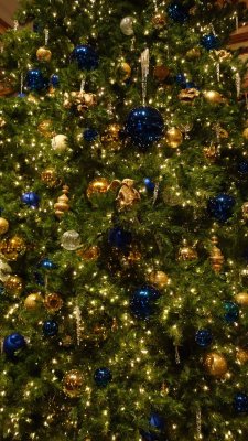 Fairmont Christmas Tree