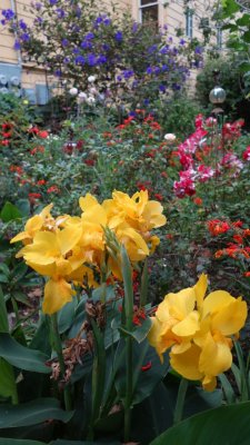 Hayes Street Garden