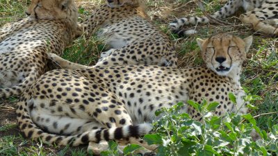 Serengeti National Park