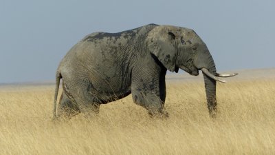 Serengeti National Park