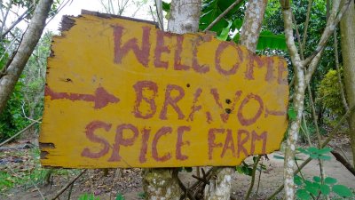 Spice Farm Tour