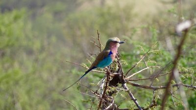 Serengeti National Park