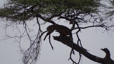 Serengeti National Park