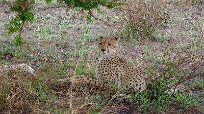 Serengeti National Park