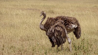 Serengeti National Park