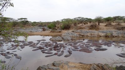 Serengeti National Park