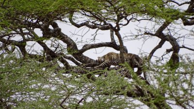 Serengeti National Park