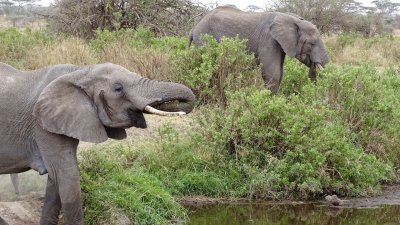 Serengeti National Park