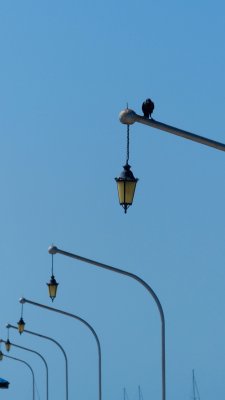 g9/41/570641/3/161944497.9Kakuo6q.jpg