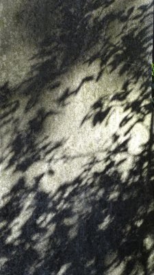 g9/41/570641/3/162737305.y7e7tyWZ.jpg