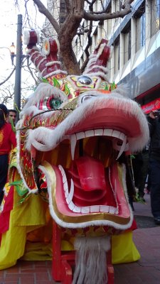 Lunar New Year Parade Dragon