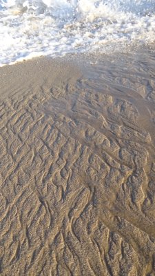 Beach Patterns