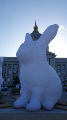 Monumental Illuminated Rabbit in the Civic Center