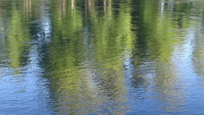 Rouge River Reflections