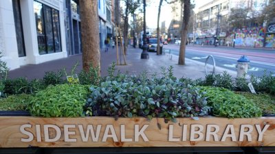 Sidewalk Library