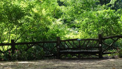 Central Park Shakespeare Garden Bench