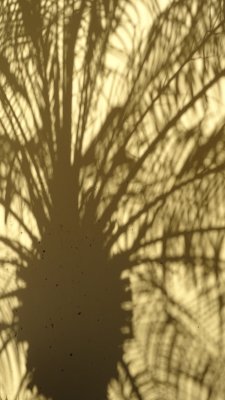 Puerto Vallarta Shadows