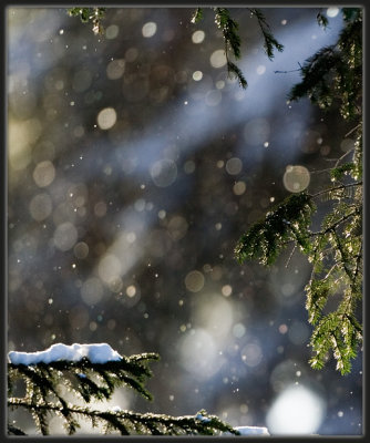 Snowflakes and Sunshine