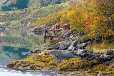 Fall in the Fjords