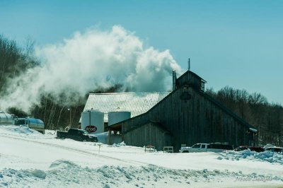 Sugar House Boiling Maple Sap