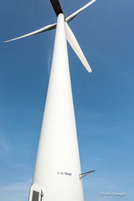 Wind Turbine on a Green Farm