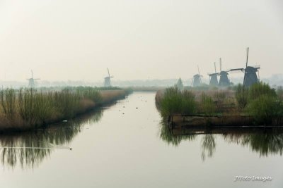 Windmills Early in the Morning