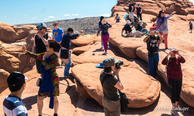 There's a Photo Op Every Direction, Arches National Park, Utah 2014