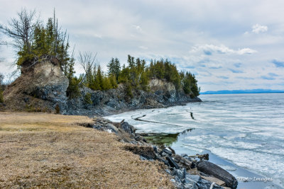 Spring Thaw Scene