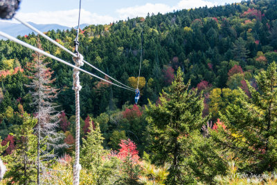 Bretton Woods Tree Canopy Zip Line 